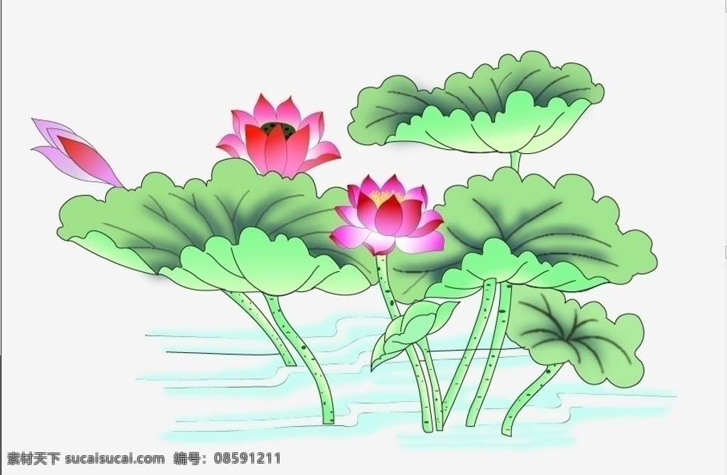 荷花荷叶 荷花 荷叶 莲花 莲子 水中的荷花 花草 生物世界 矢量