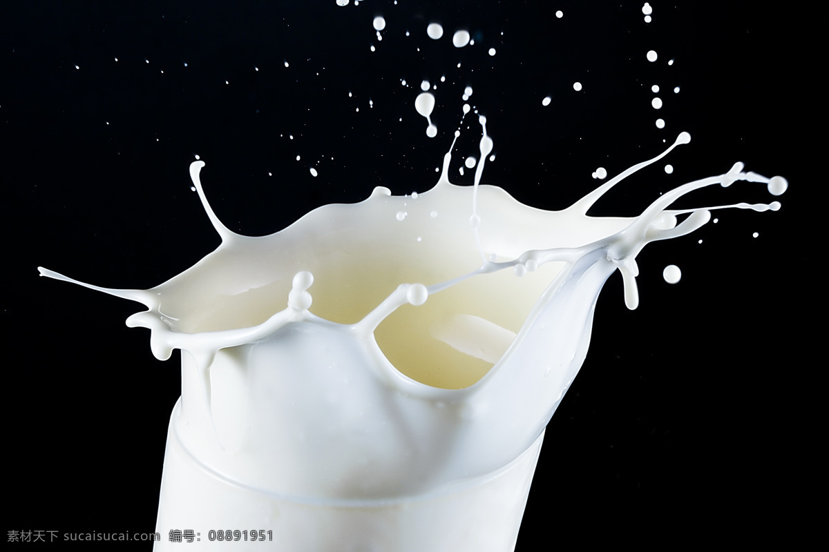 喷溅 牛奶 高清 倒牛奶 新鲜牛奶 牛奶花 纯牛奶 飞溅的牛奶 喷溅的牛奶 鲜奶 牛奶饮料 早餐奶 健康饮品 生活百科 餐饮美食