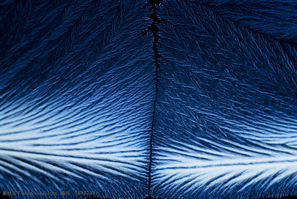 微晶 微晶的