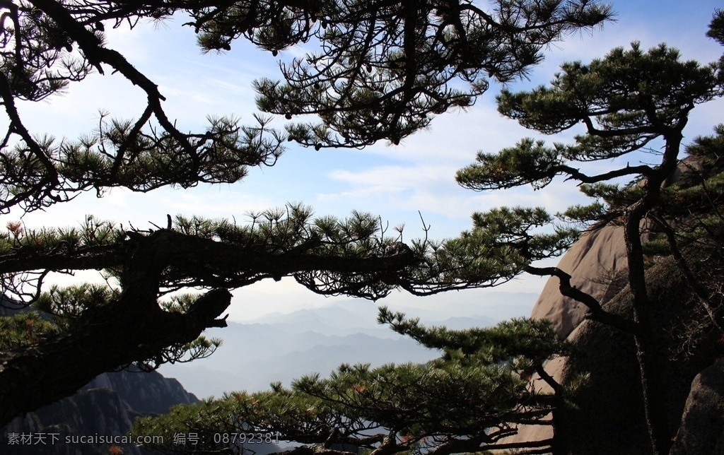 黄山云海风光 黄山 黄山风景 黄山风光 黄山云海 黄山美景 图片类 自然景观 风景名胜 迎客松 5a景点 安徽黄山 旅游摄影 国内旅游