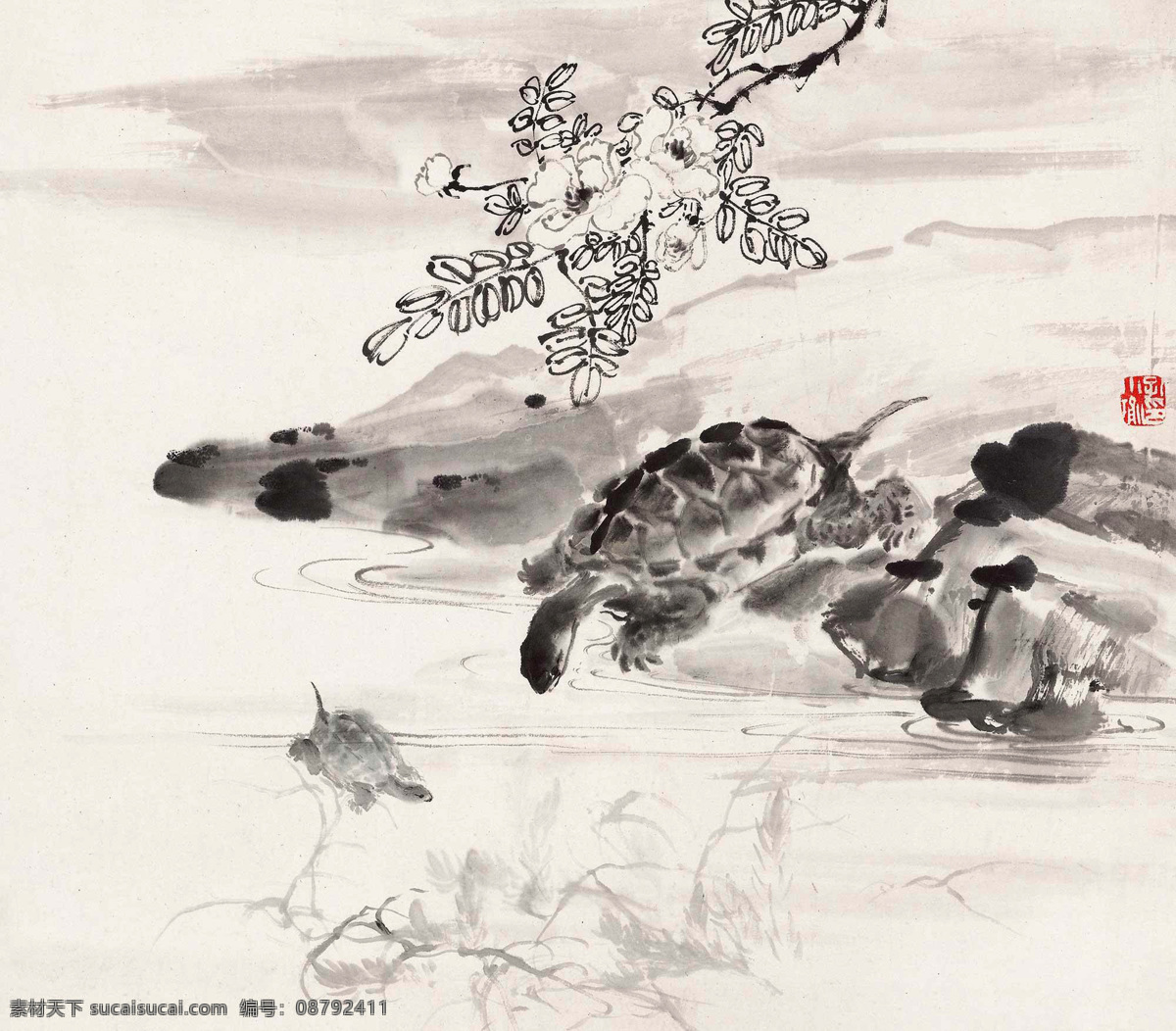 乌龟 孔小瑜 国画 长寿 中国画 绘画书法 文化艺术