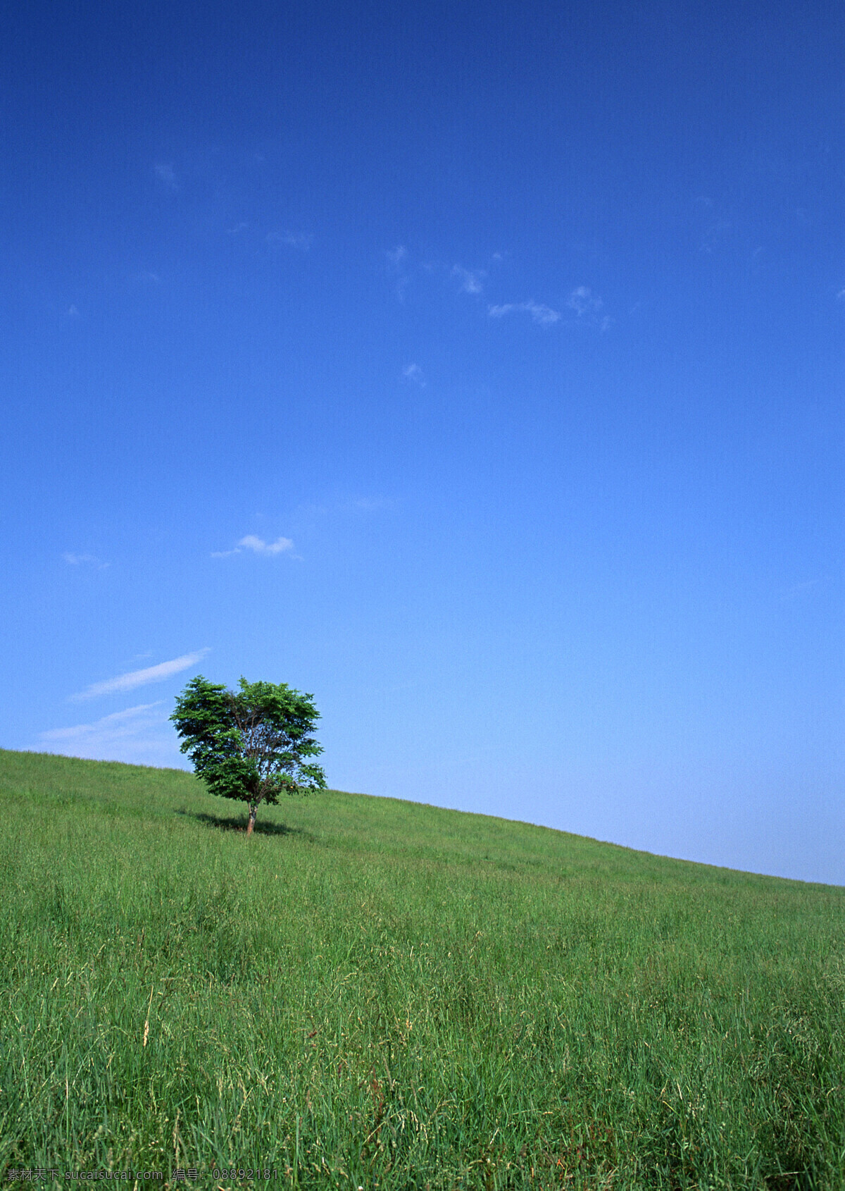 风景免费下载 风景 旷野 陆地 自然 生活 旅游餐饮