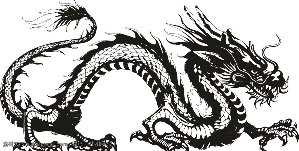 矢量龙素材 龙 火龙 红色龙 龙素材大全 龙素材 中国传统 龙文化 素材龙线条龙 矢量素材 中国古典素材 古典素材 神兽 矢量 黑色 古代龙 龙图章 龙纹 龙背景 雕刻龙 矢量图龙 雕刻 矢量龙 素描龙 飞龙 抽象龙