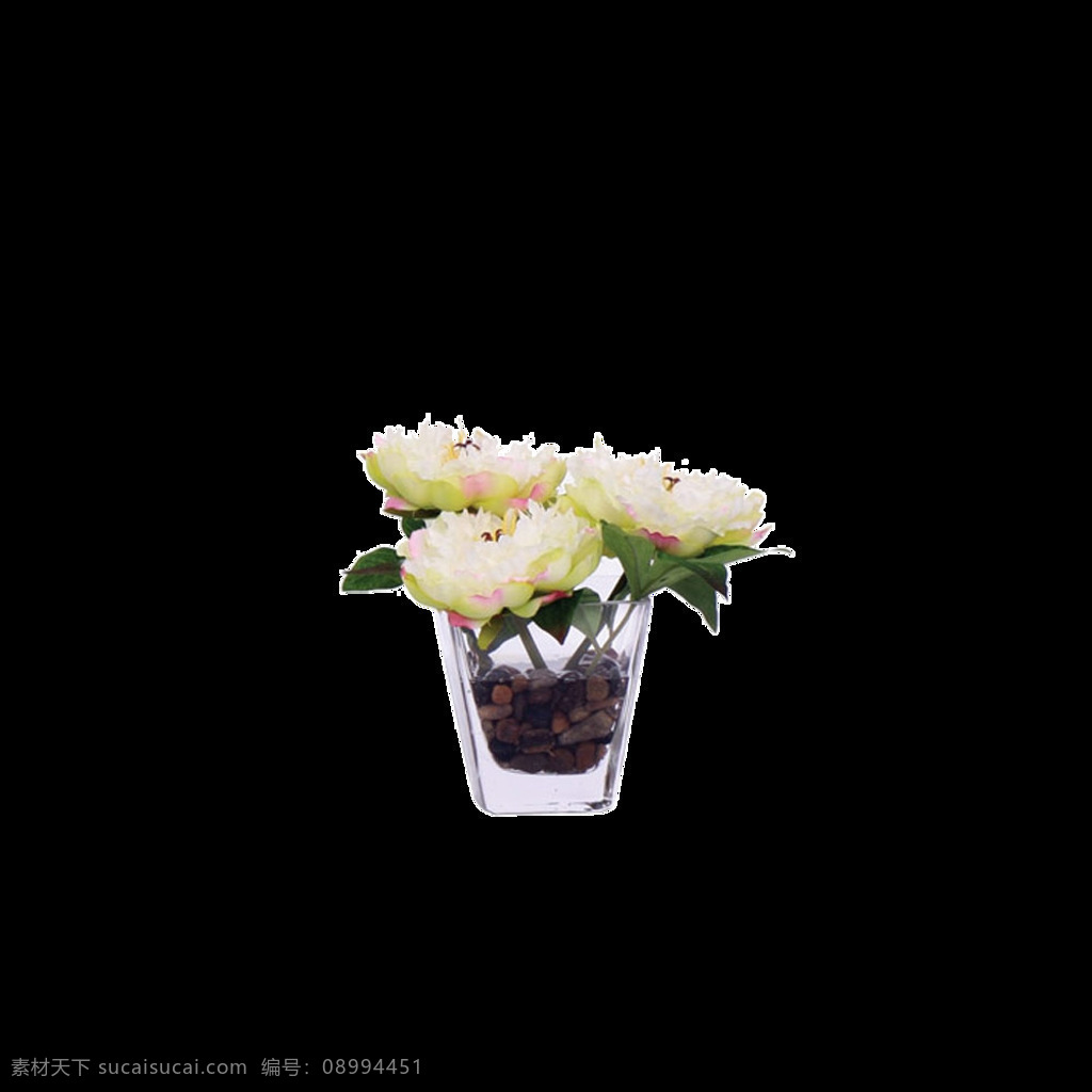 淡雅 浅色 花朵 花束 实物 元素 玻璃杯 花枝 浅色花朵 实物元素 装扮