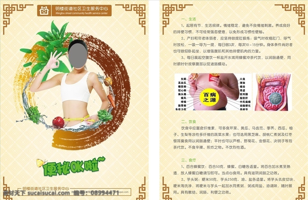 成人便秘 成人 便秘 医院 单页 宣传单 生活百科 医疗保健