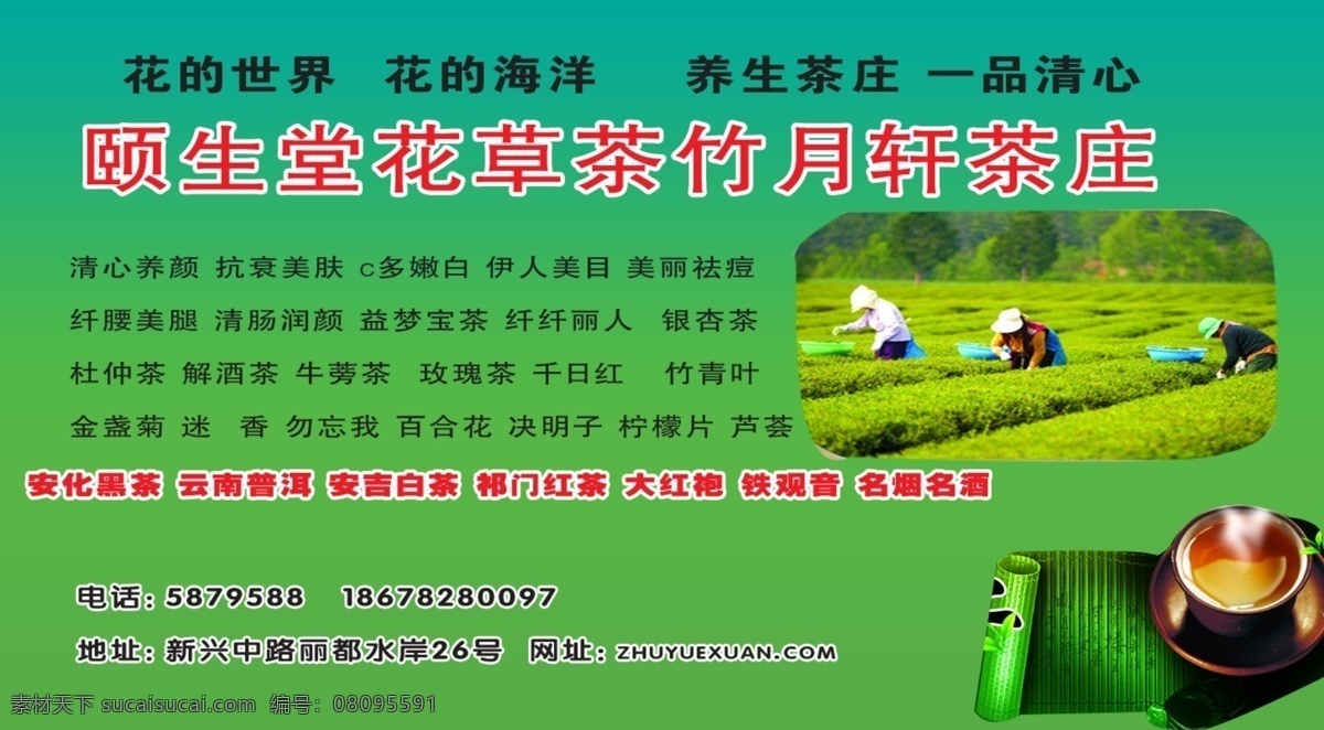 竹 月 轩 分层 白茶 茶叶 芦荟 美容养颜 源文件 竹月轩 矢量图 日常生活