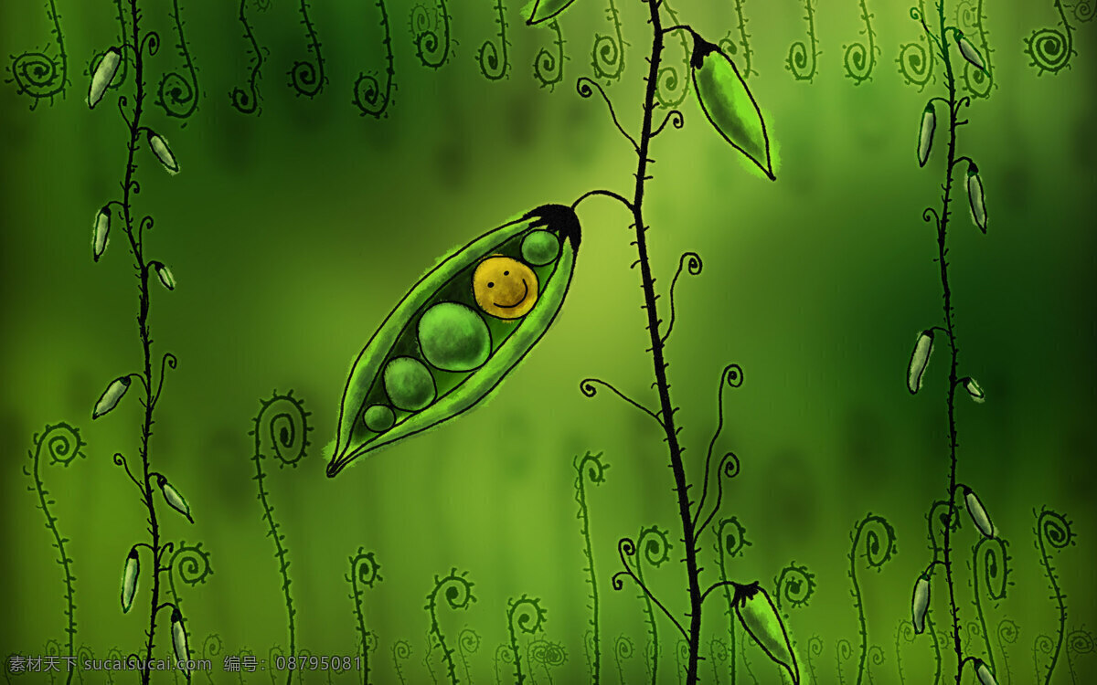 绿色 豌豆 背景 黑色 背景图片