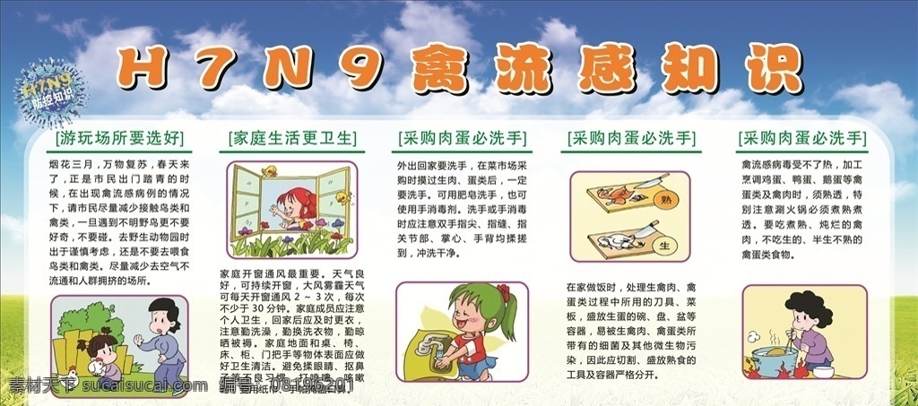 h7n9 禽流感知识 宣传栏 展板模板 展板背景 海报背景 x4