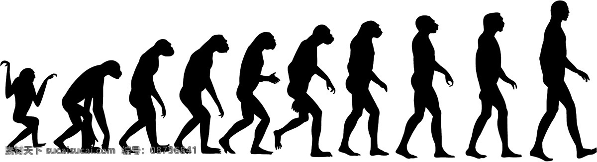 人类 进化 过程 猴 人 人类进化过程 演变 矢量图 矢量人物