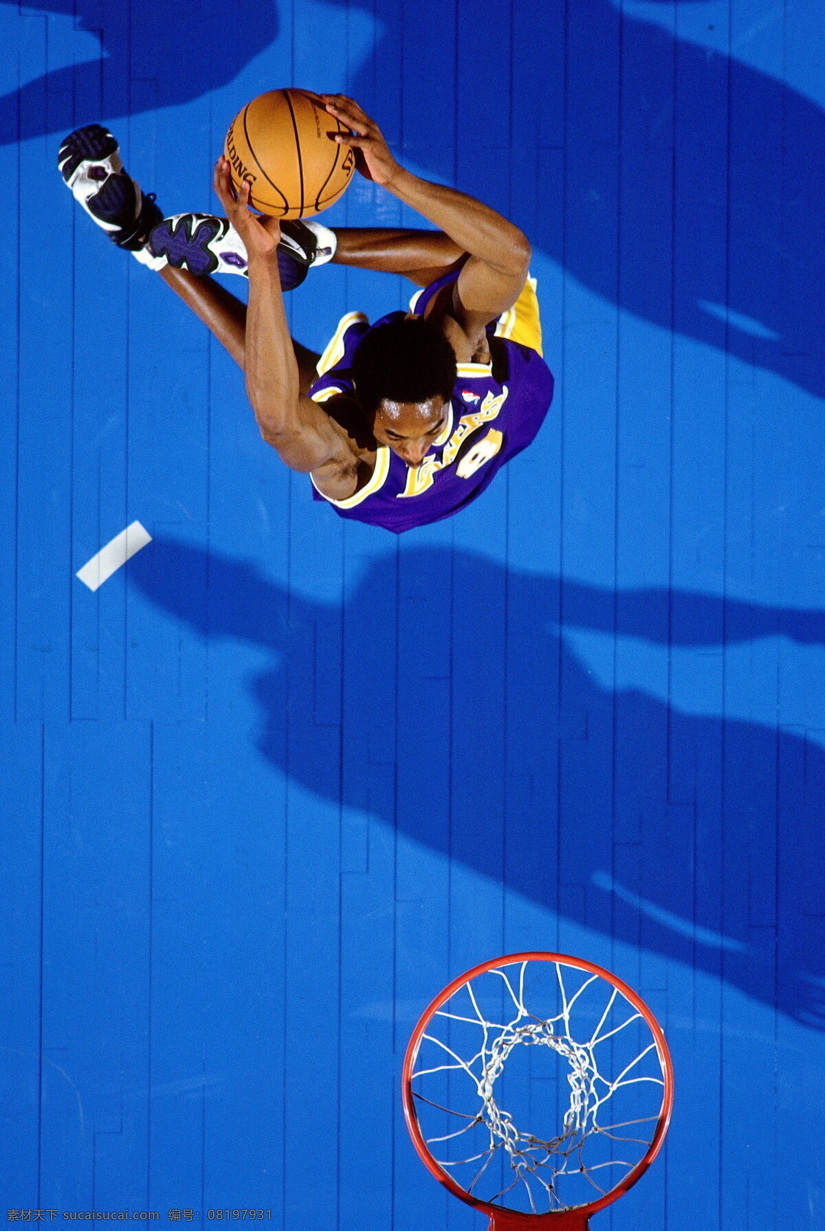 科比 篮球 nba 体育 美职篮 明星偶像 人物图库