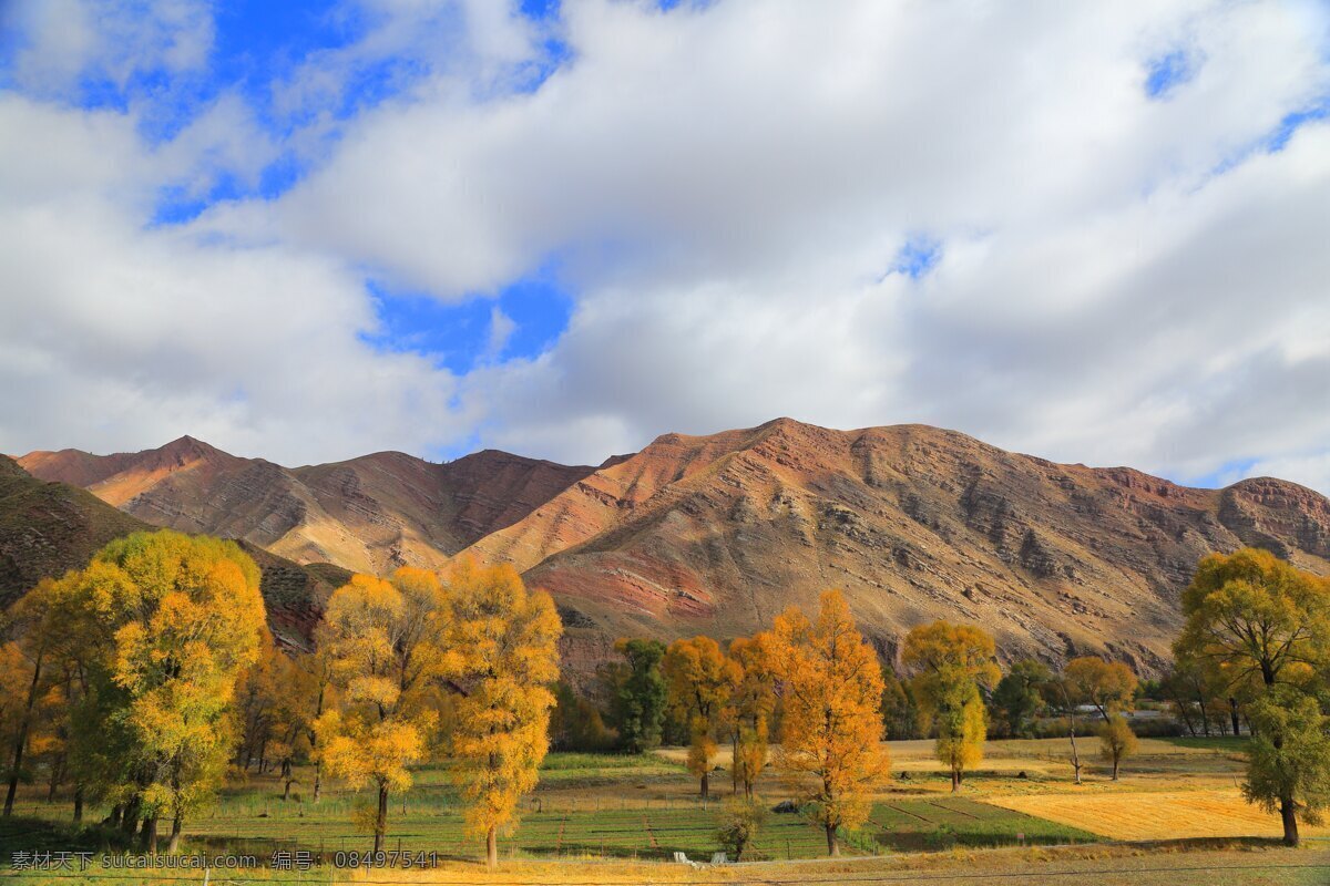 秋色风光 青海风景 西藏风景 唯美高清 大图 自然景观 自然风景