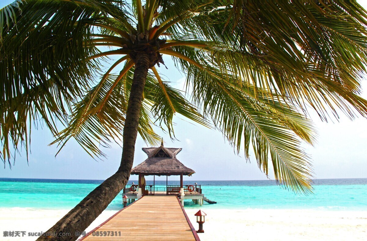 椰子 海南 海边 海景房 度假 自然景观 自然风景