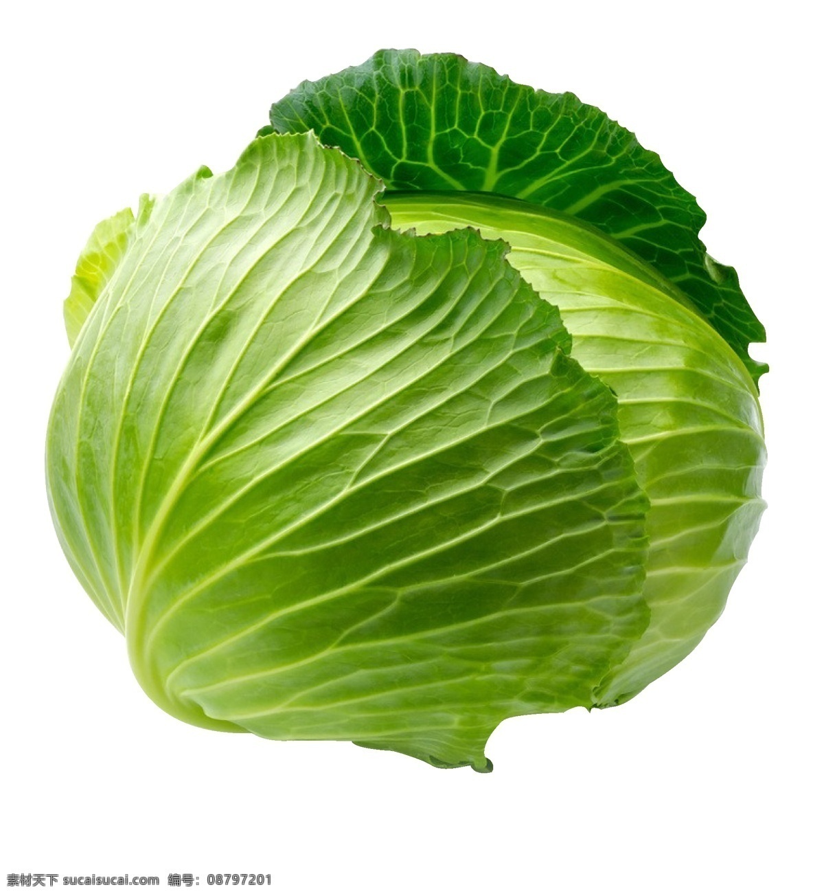 蔬菜抠图 包菜 蔬菜