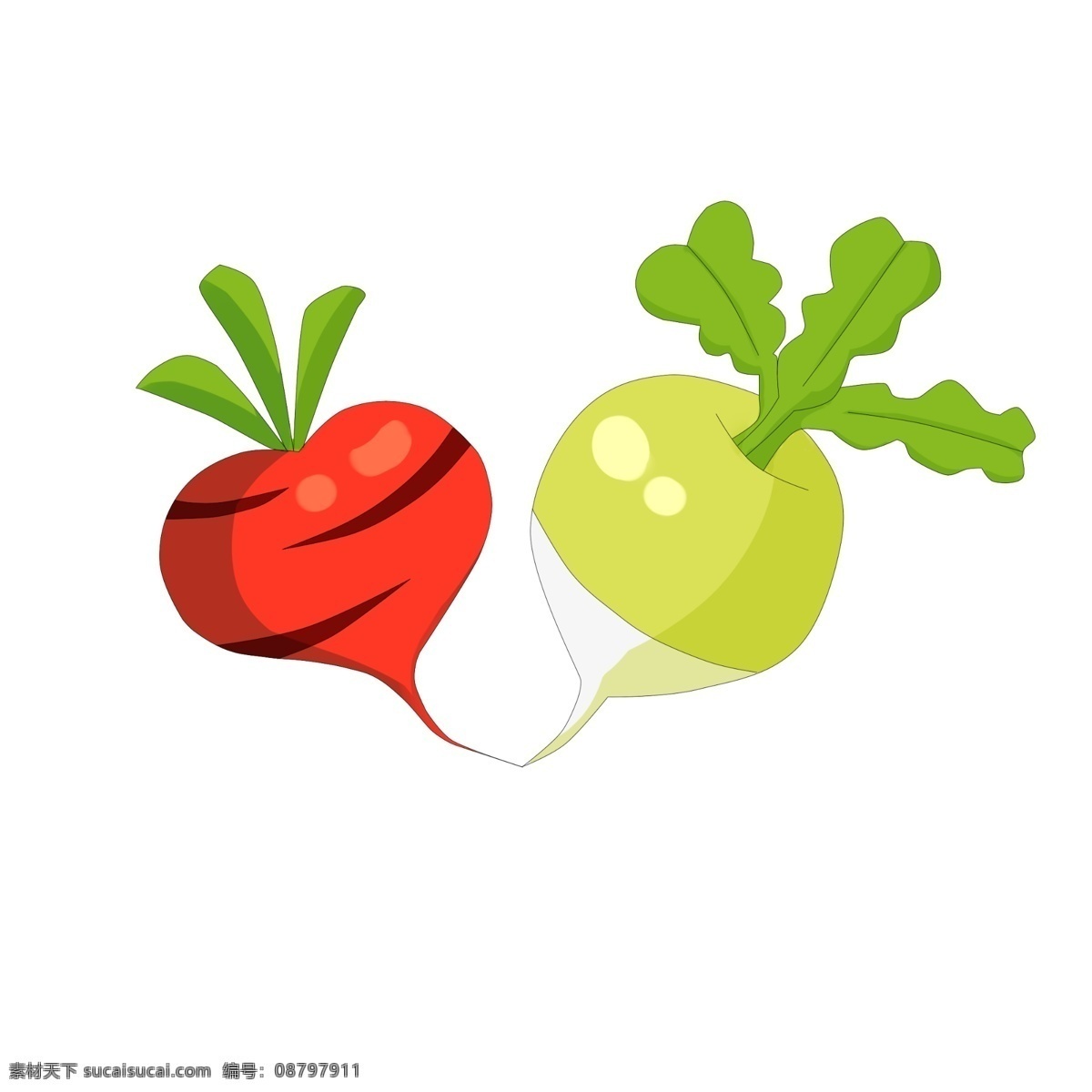 手绘 胡萝卜 果蔬 插画 商用 红色 胡须 根部 叶子 食材