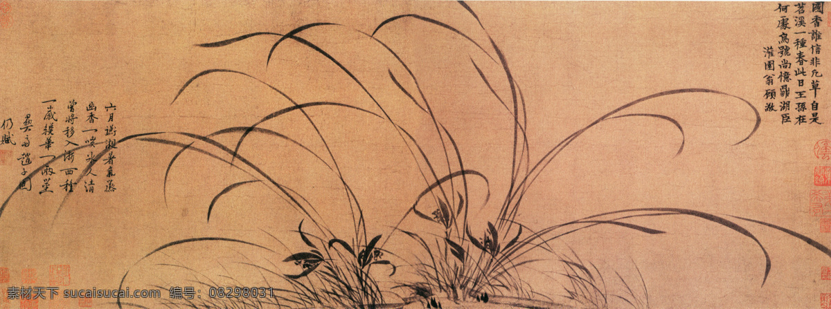 中国 花鸟画 名家 赵 孟 坚 书画 真迹 墨兰 图 古画 花鸟 兰花 书画真迹 墨兰图 中国花鸟画 名家赵孟坚 卷纸本墨笔 兰叶 清雅俊爽 用笔劲利 笔意绵绵 气脉不断 赵氏 画 兰 代表作 文化艺术