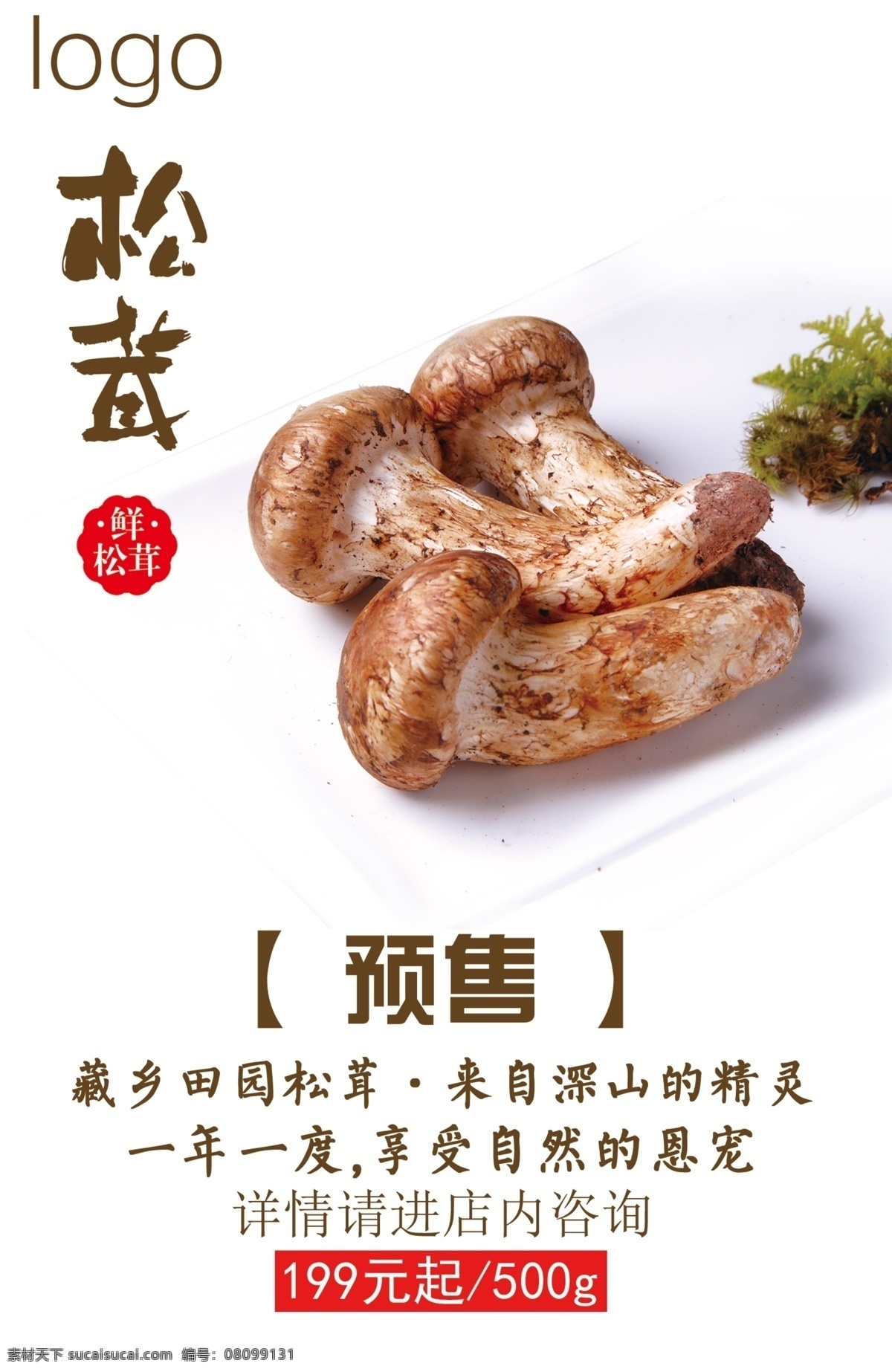 松茸预售 松茸 预售 kt板 海报 宣传单 模板 鲜松茸 吊旗 psd分层