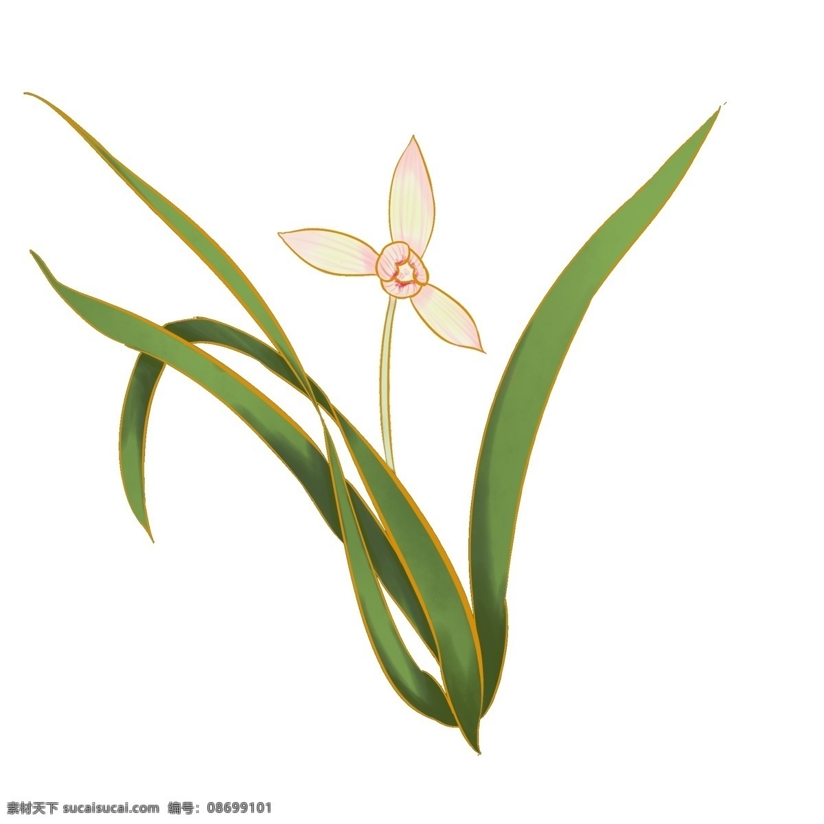 手绘兰花图片 手绘花朵 手绘兰花 兰花插画 植物 自然 生物 手绘花鸟 植物果实插画 兰花 插画 插图 彩色兰花图 唯美鲜花 漂亮 鲜花 装饰画 欧式 花卉 传统艺术 艺术 花朵 花鸟画 手绘花鸟画 中国画 古典复古 写意画 电脑画 风景画 植物果实 卡通设计