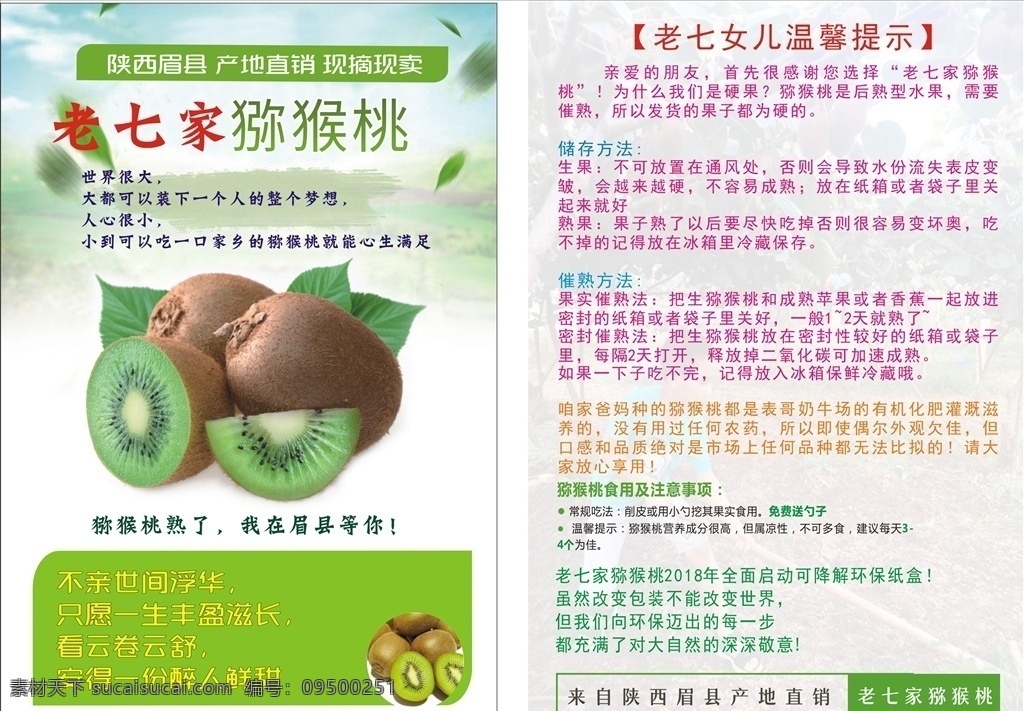 猕猴桃宣传单 猕猴桃 水果宣传单 新鲜水果 绿色 生活百科 餐饮美食