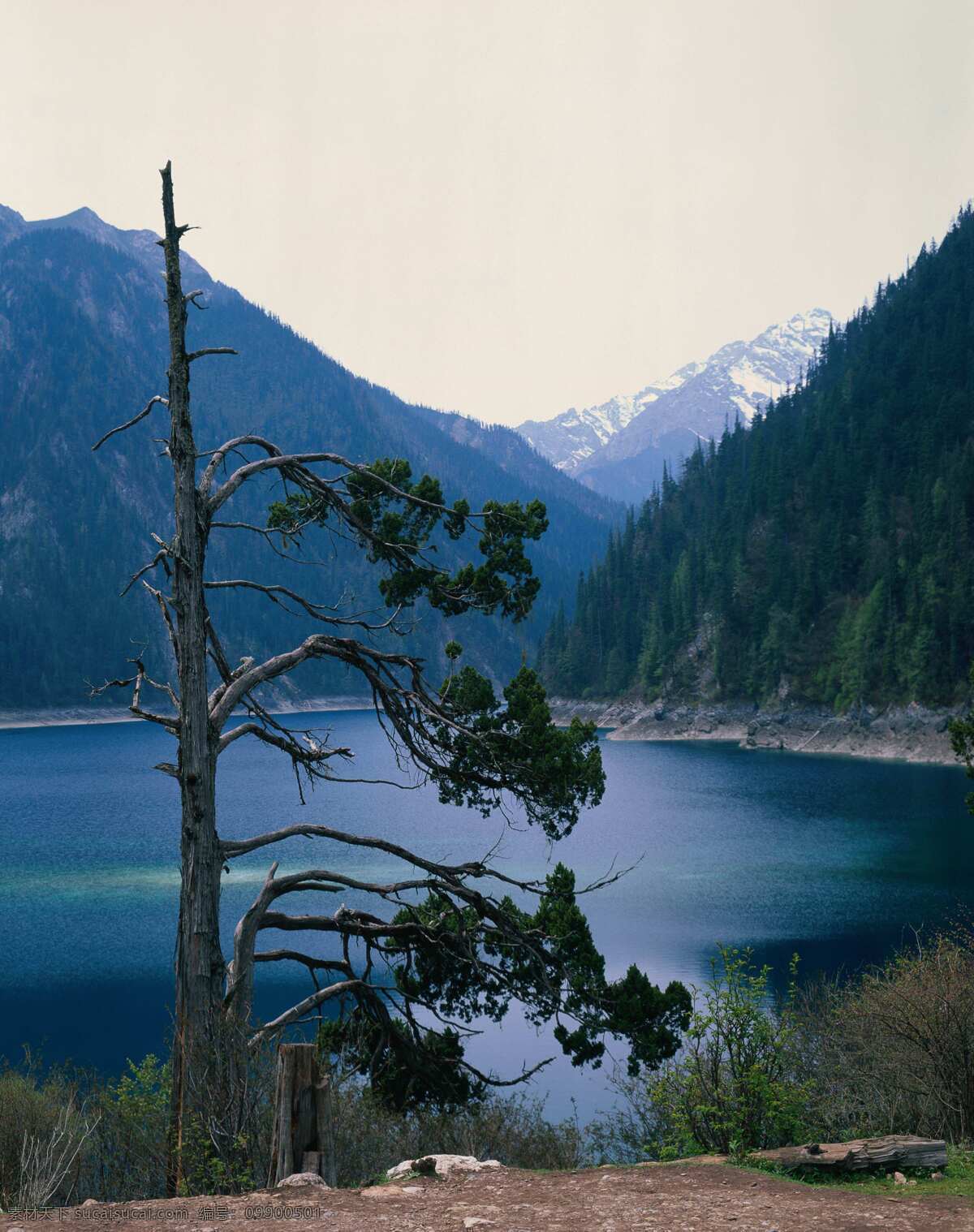 风景 图 风景名胜 风景图 高清 绿叶 美景 山水风景 滕蔓 自然风光 自然风景 自然景观 巨幅风景图片 家居装饰素材 山水风景画