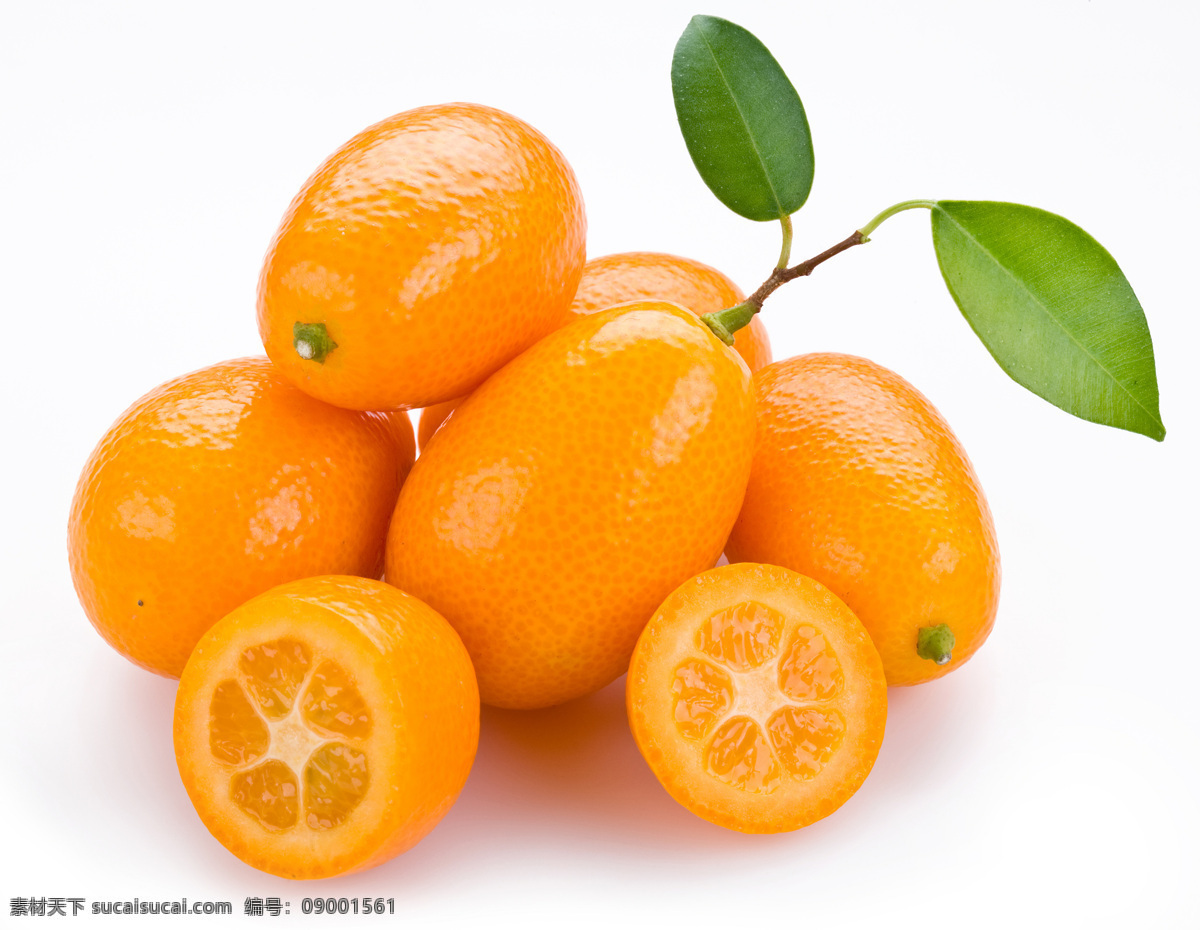 新鲜 水果 食物 新鲜的水果 可口 橘子 金桔 水果图片 餐饮美食