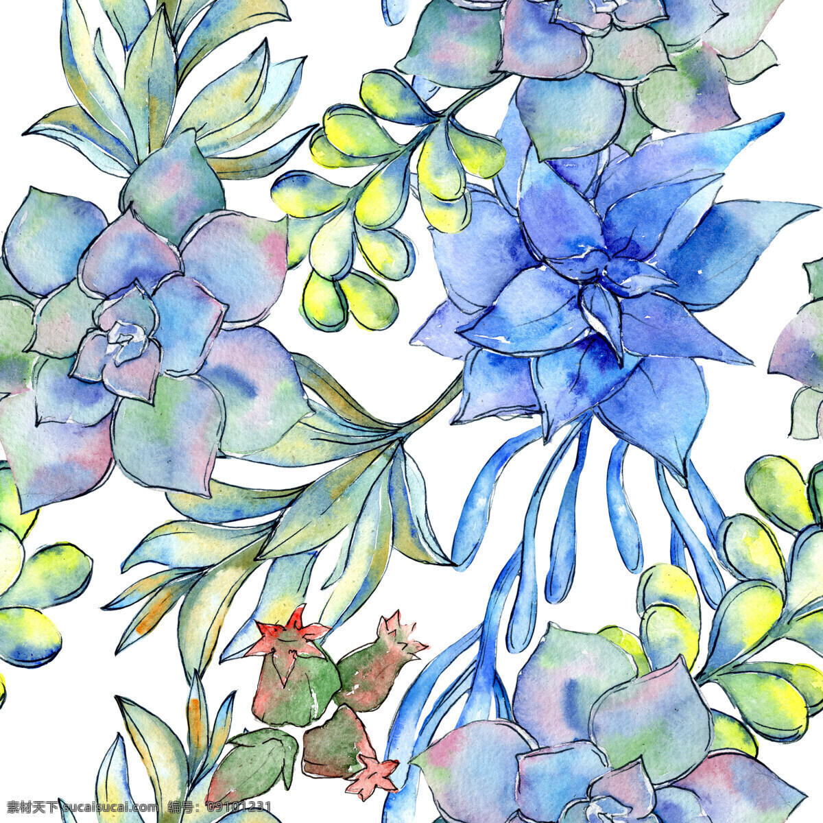 手绘 各种 品种多 肉 植物 背景 背景素材 卡通 蓝色 绿色 水彩 叶子