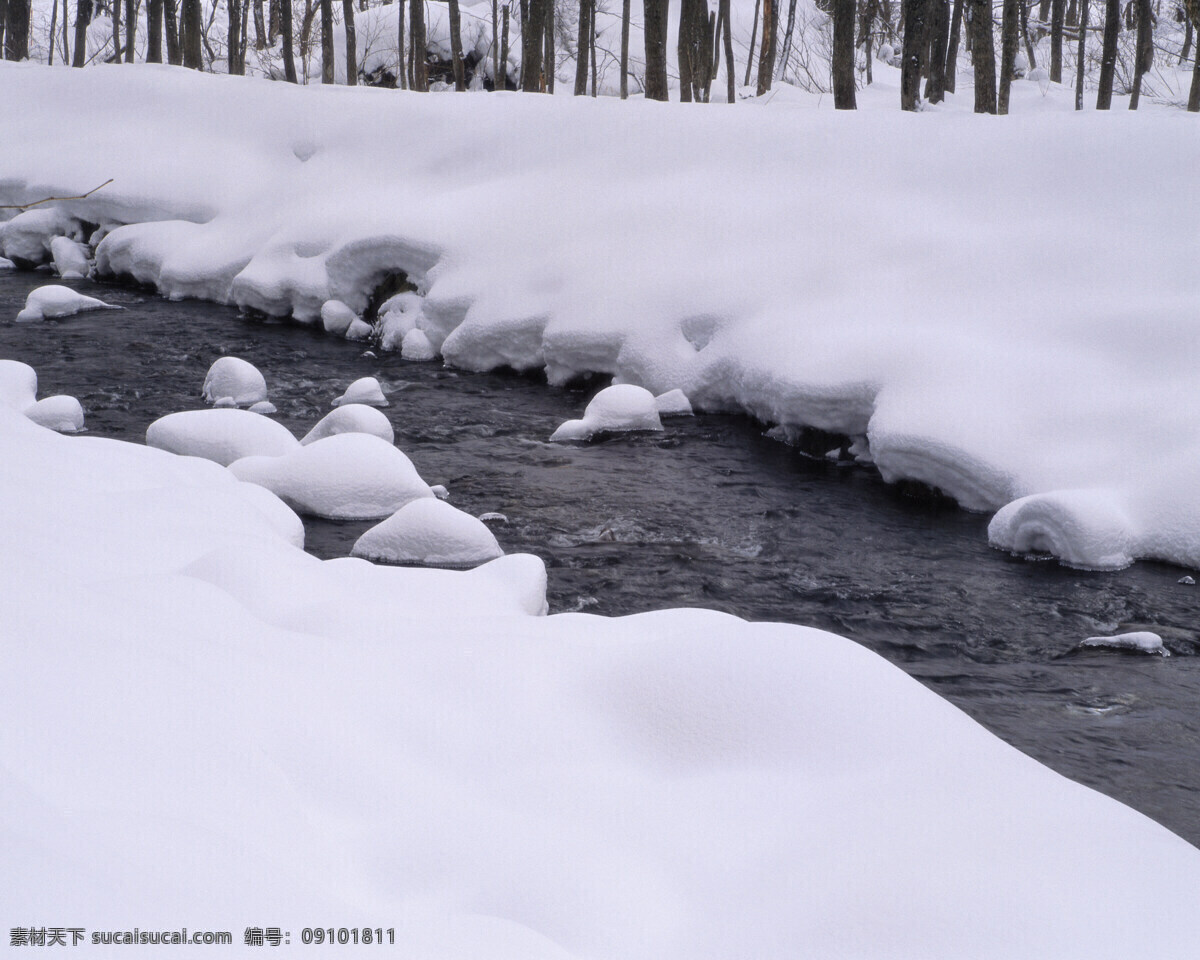 融化 小 溪水 白雪皑皑 雪景 雪松 白雪风光 森林大雪 风景 生活 旅游餐饮