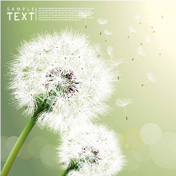 蒲公英 飞舞 光晕 梦幻 矢量素材 植物 矢量图 其他矢量图