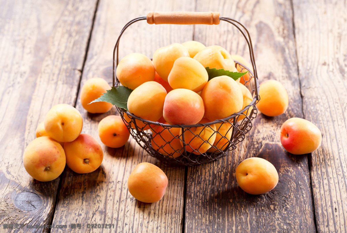 杏子 食物 水果 新鲜水果 杏 黄杏 生物世界