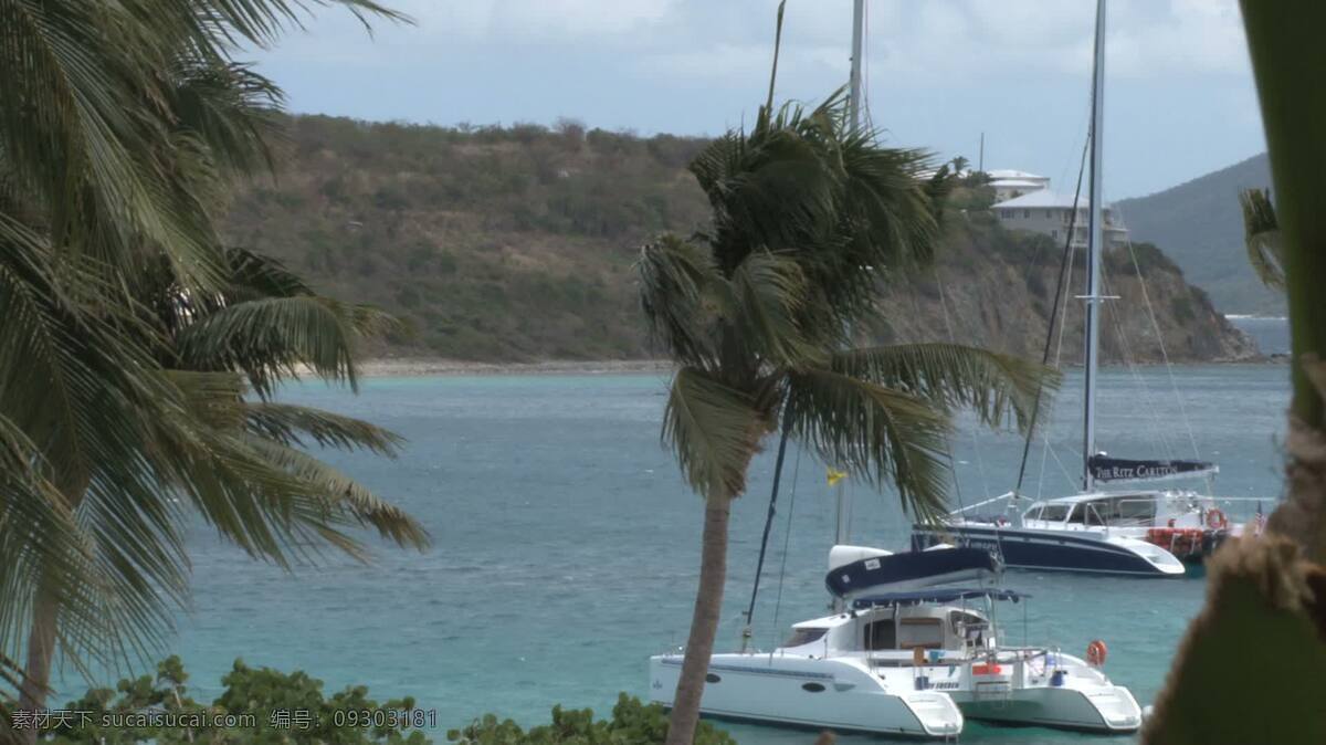 只 股票 录像 双体 船 漂浮 水面 上 海 海洋 漂流 视频免费下载 湾 棕榈树 圣汤姆斯 st 托马斯 加勒比海 双体船 浮动 水 棕榈 其他视频
