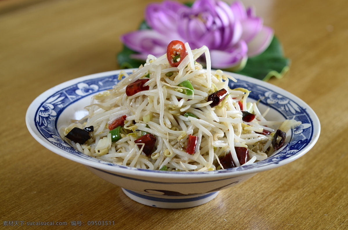 炝炒绿豆芽 绿豆芽 豆芽菜 拌豆芽 黄豆芽 炝拌绿豆芽 醋溜豆芽 炒绿豆芽 炒小豆芽 美食摄影 酸辣豆芽 清炒绿豆芽 清炒豆芽 菜品图 餐饮美食 传统美食