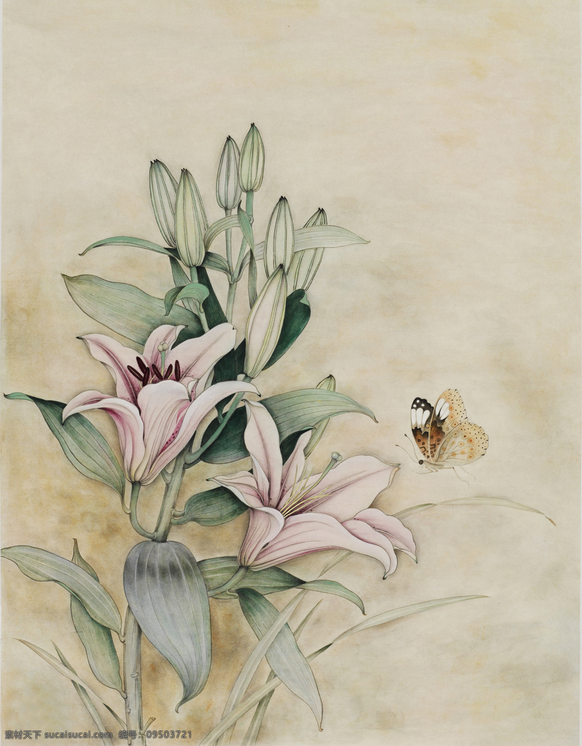 工笔百合 国画 水墨画 花鸟画 工笔画 中国画 百合 蝴蝶 艺术绘画 文化艺术 绘画书法