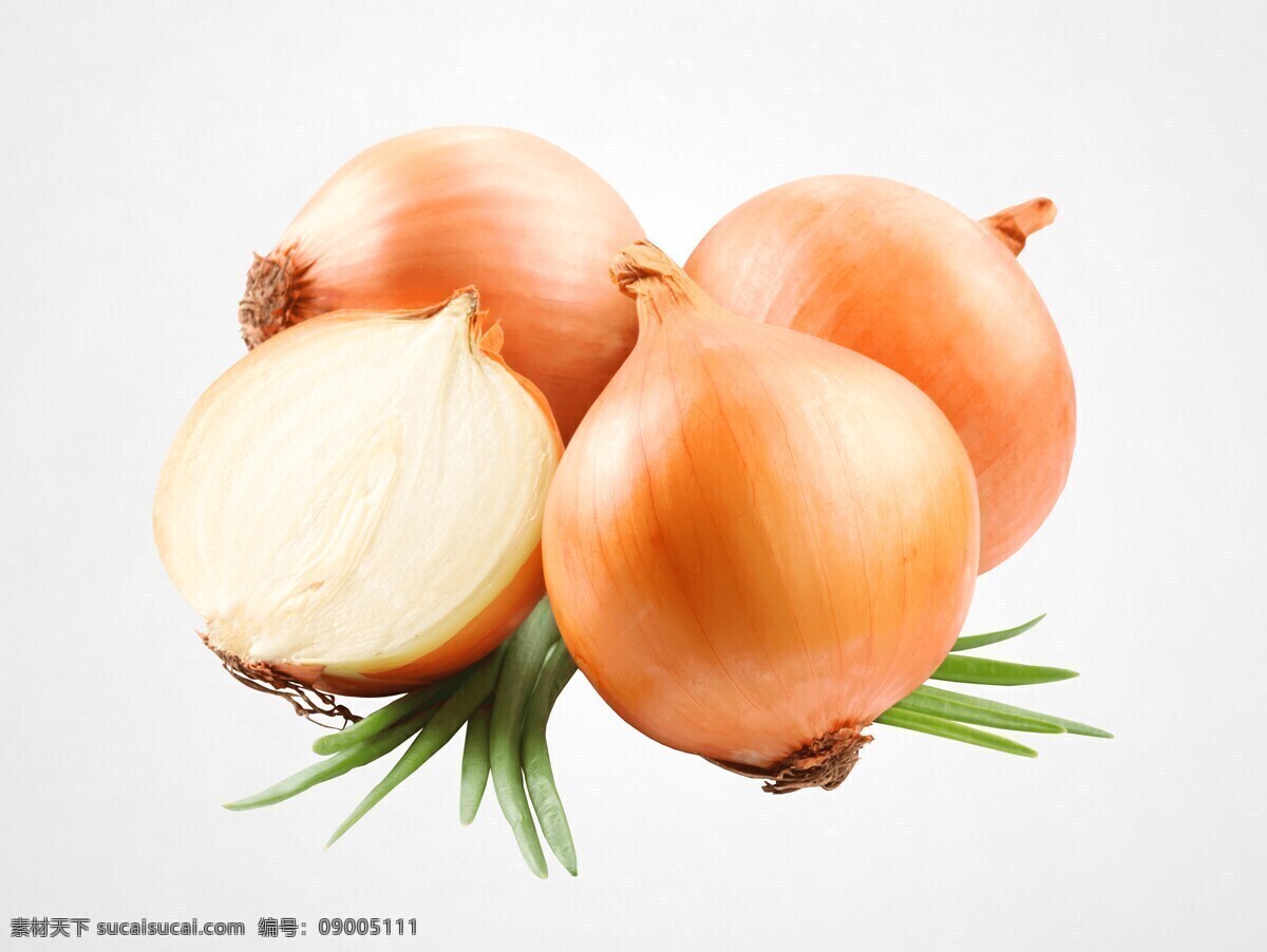 洋葱 大蒜 蔬菜 生物世界 大洋葱 有机蔬菜 绿色蔬菜 洋葱图片 蔬菜图片 蔬菜素材 蔬菜壁纸 大洋葱图片 大洋葱素材 大洋葱壁纸 餐饮美食 美食 食物原料 食物 食物图片 食物素材 创意图片 4k图片 4k壁纸 背景图片 唯美图片 唯美壁纸 水果蔬菜 蔬菜水果 瓜果蔬菜 新鲜蔬菜 餐饮图片 蔬菜图 动物世界 生物 动物