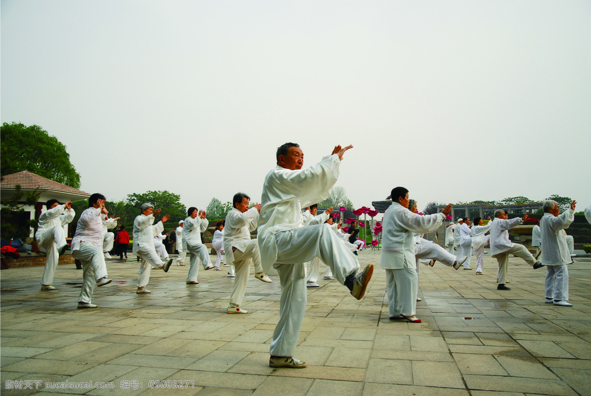 打太拳 太极 打太极 打太极拳 人群 老人 众人 老年人物 人物图库 和谐