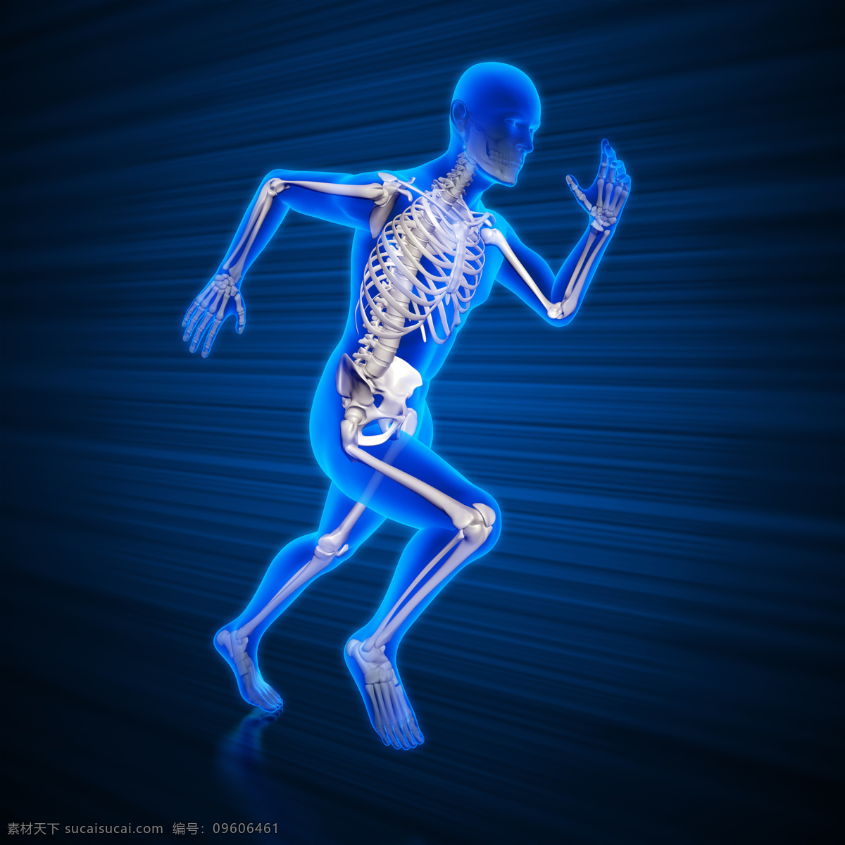奔跑 时 男性 人体 骨骼 人体器官 人体骨骼 骨骼结构 医学科技 医疗科技 人体结构 ct 人体器官图 人物图片