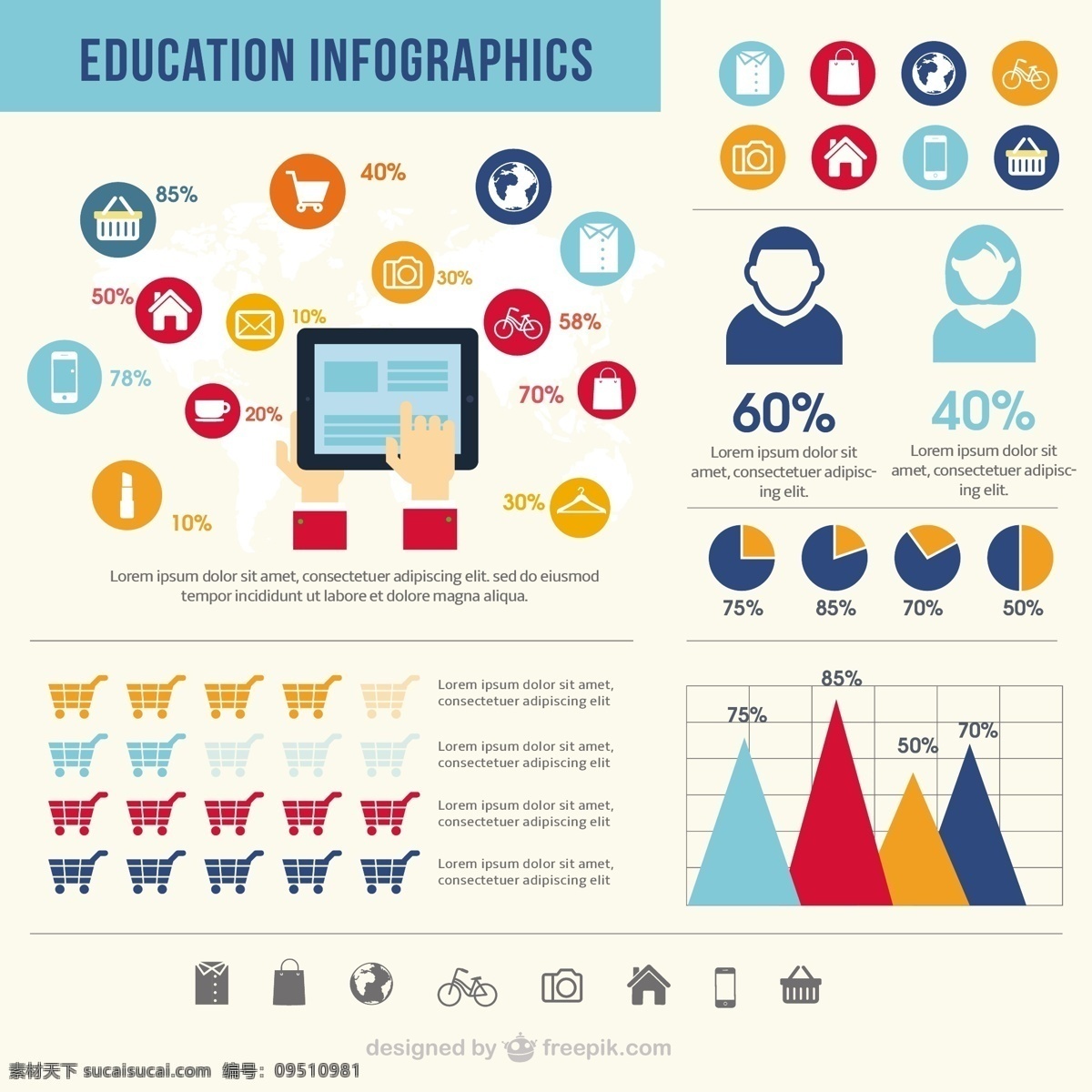 教育信息图表 图表 图标 教育 模板 图形 图表的教育 教育的图标 图表模板 白色