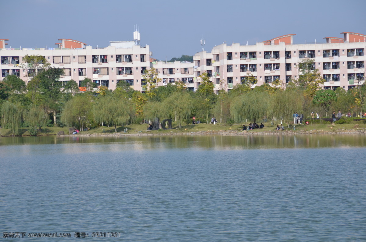 校园 秋景 建筑园林 阳光 园林建筑 校园秋景 西南科技大学 中心湖 东八 矢量图 现代科技