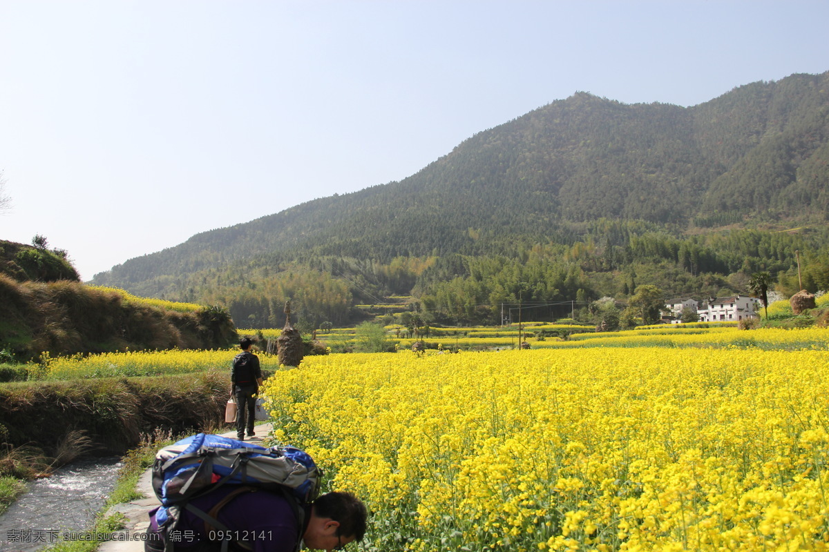 婺源风光 婺源风景 乡村自然风光 婺源 油菜花 婺源摄影 婺源游记 江西婺源 乡村摄影 古镇 小镇 乡村 田园风光 古徽州 风景 江西风景 婺源油菜花 旅游摄影 国内旅游