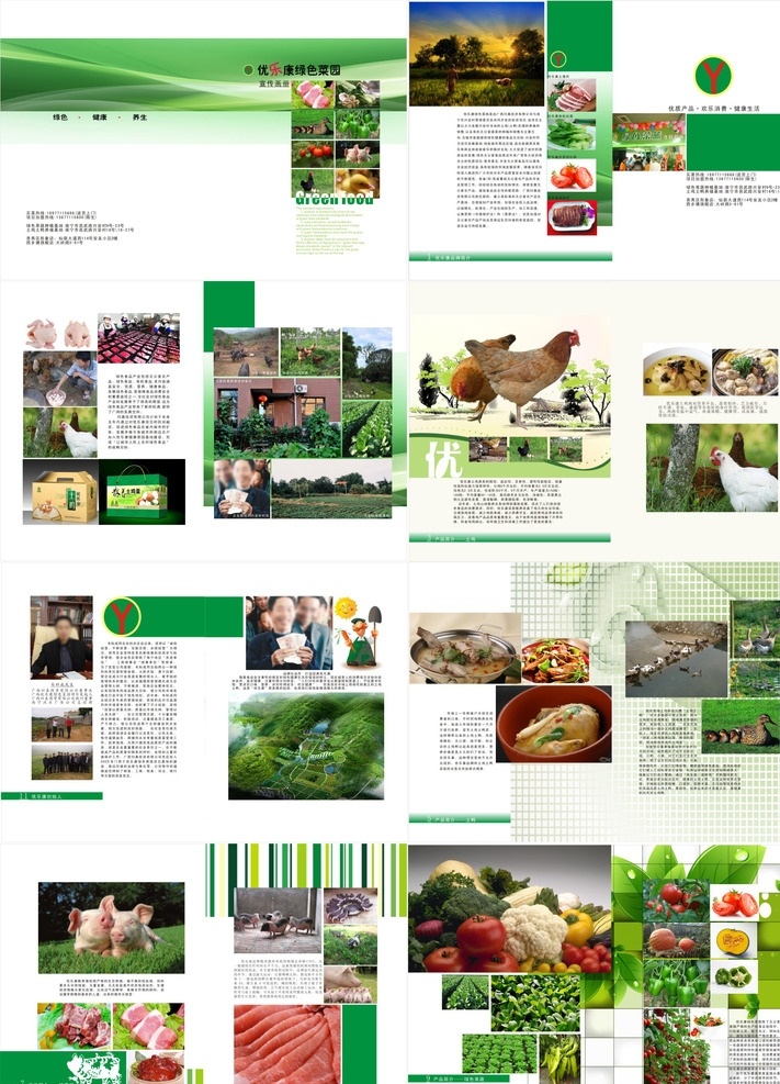 农产品宣传册 农产品 土鸡 土特产 农家乐 画册 宣传册 画册设计