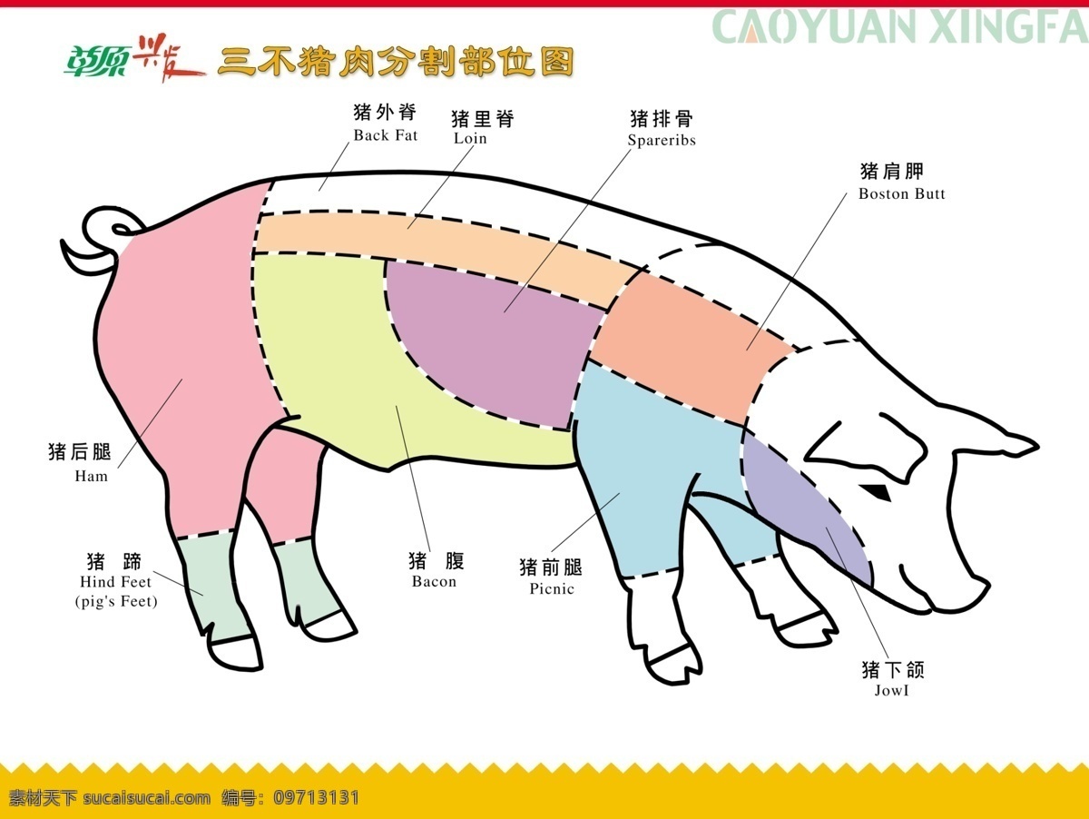 猪分割图 猪分割图名称 分层 源文件库