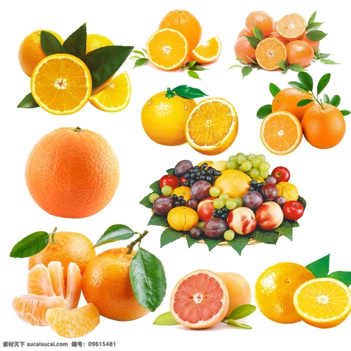 橘子 秋橘 黄橘子 甜橘子 橘子果肉 拨开橘子 橘子汁 进口橘子 新鲜橘子 水果 生物世界