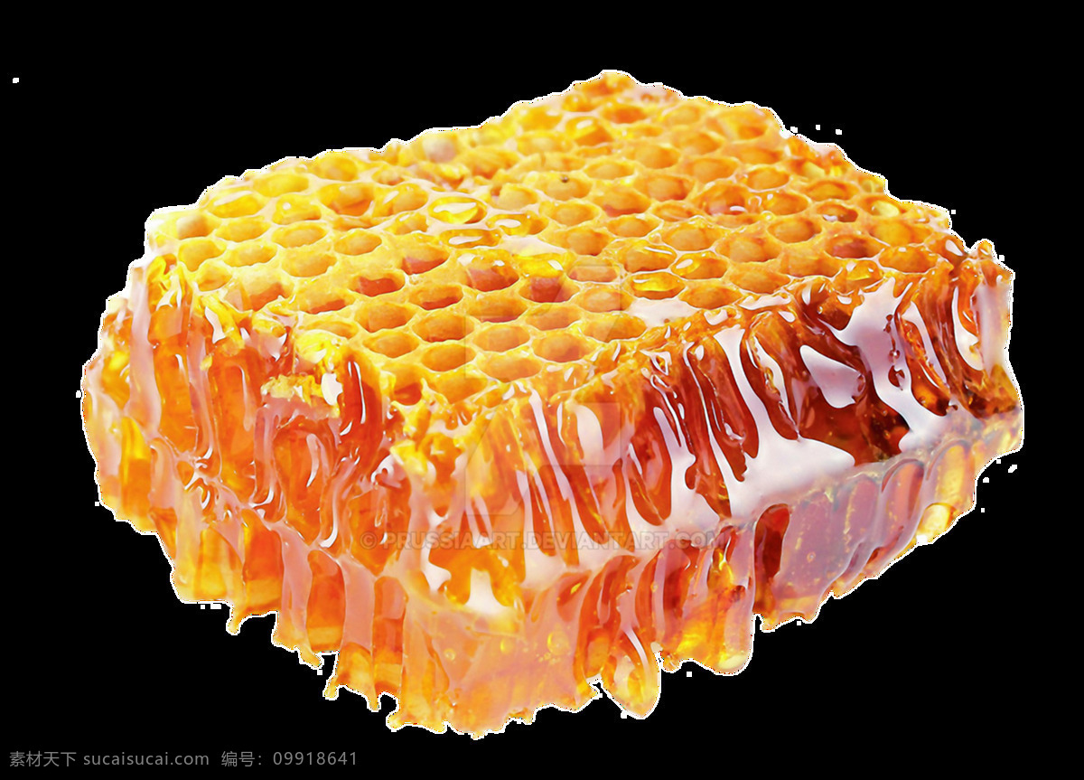 蜂蜜图片 蜂蜜 蜜 蜜糖 蜂巢 蜜蜂 蜜罐 蜂王浆 蜂胶 蜂蜡 蜂产品 png图 透明图 免扣图 透明背景 透明底 抠图
