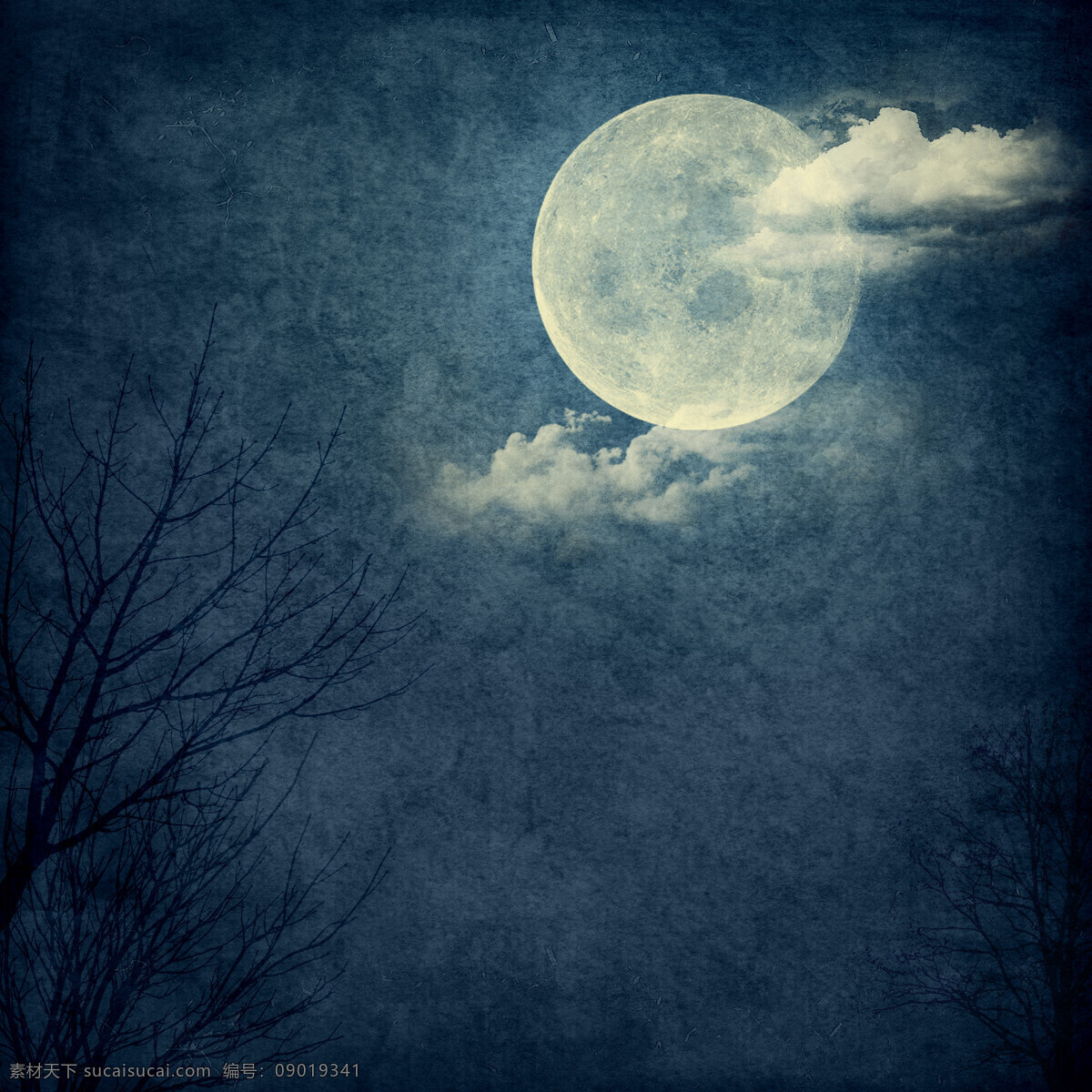冷色 调 月夜 高清 背景 月亮 夜色 万圣节 高冷 黑色