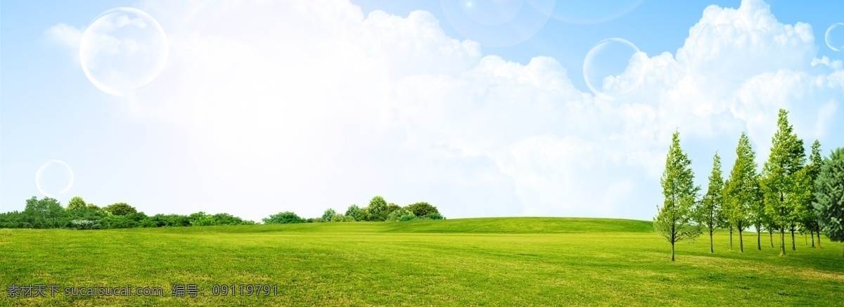 简约 空旷 草地 banner 清新 绿色 背景 植物 树 草坪 风景