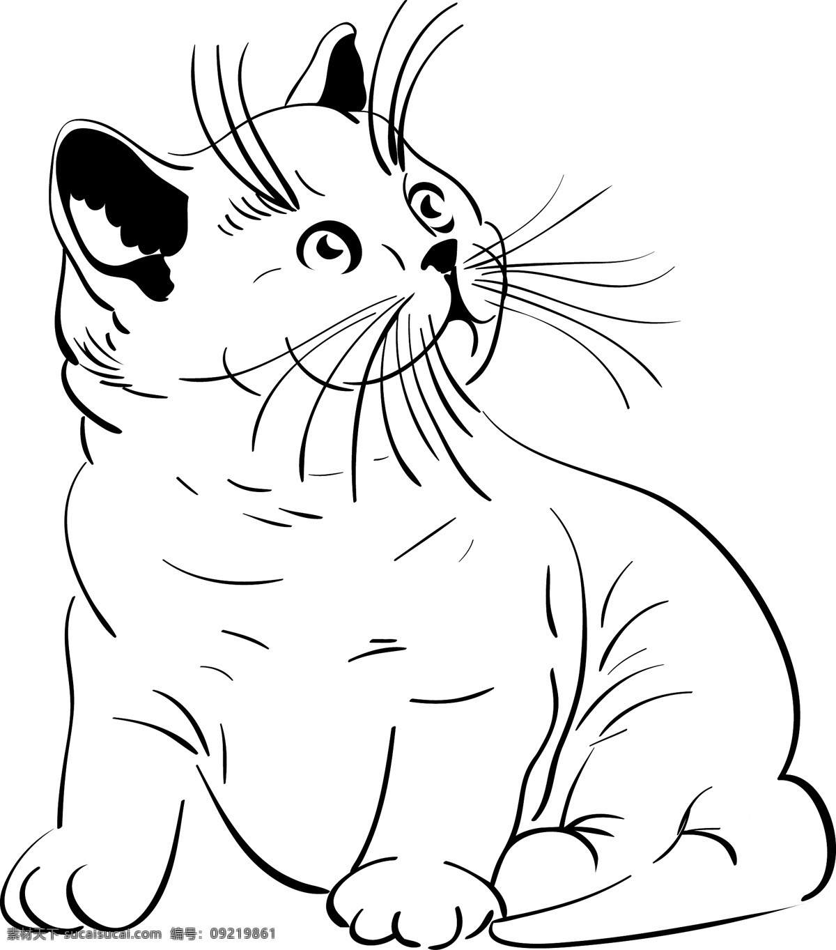 猫咪 线 稿 动物 可爱 猫 面部 矢量素材 线稿 线描 咪咪 矢量图 其他矢量图