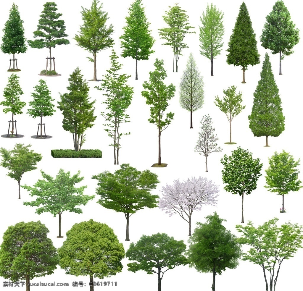 乔木 灌木 效果图 效果图素材 园林 景观 园林效果图 景观效果图 环境设计 景观设计 设计素材 分层