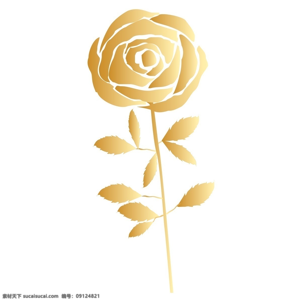手绘 玫瑰 花卉 透明 花朵 透明素材 卡通素材 叶子 玫瑰花卉