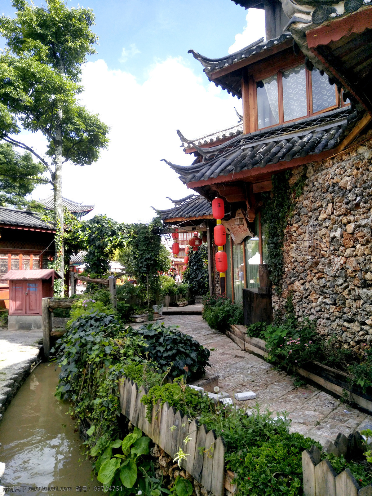 丽江古城 云南 丽江 古城 街道 牌匾 古建筑 古街 蓝天白云 摄影图 照片 柳树 旅游摄影 人文景观