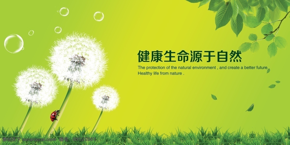 健康 生命 源于 自然 健康生命 源于自然 竹子 蒲公英 瓢虫 健康自然 天空 绿色天空 草地 白云 广告设计模板 源文件