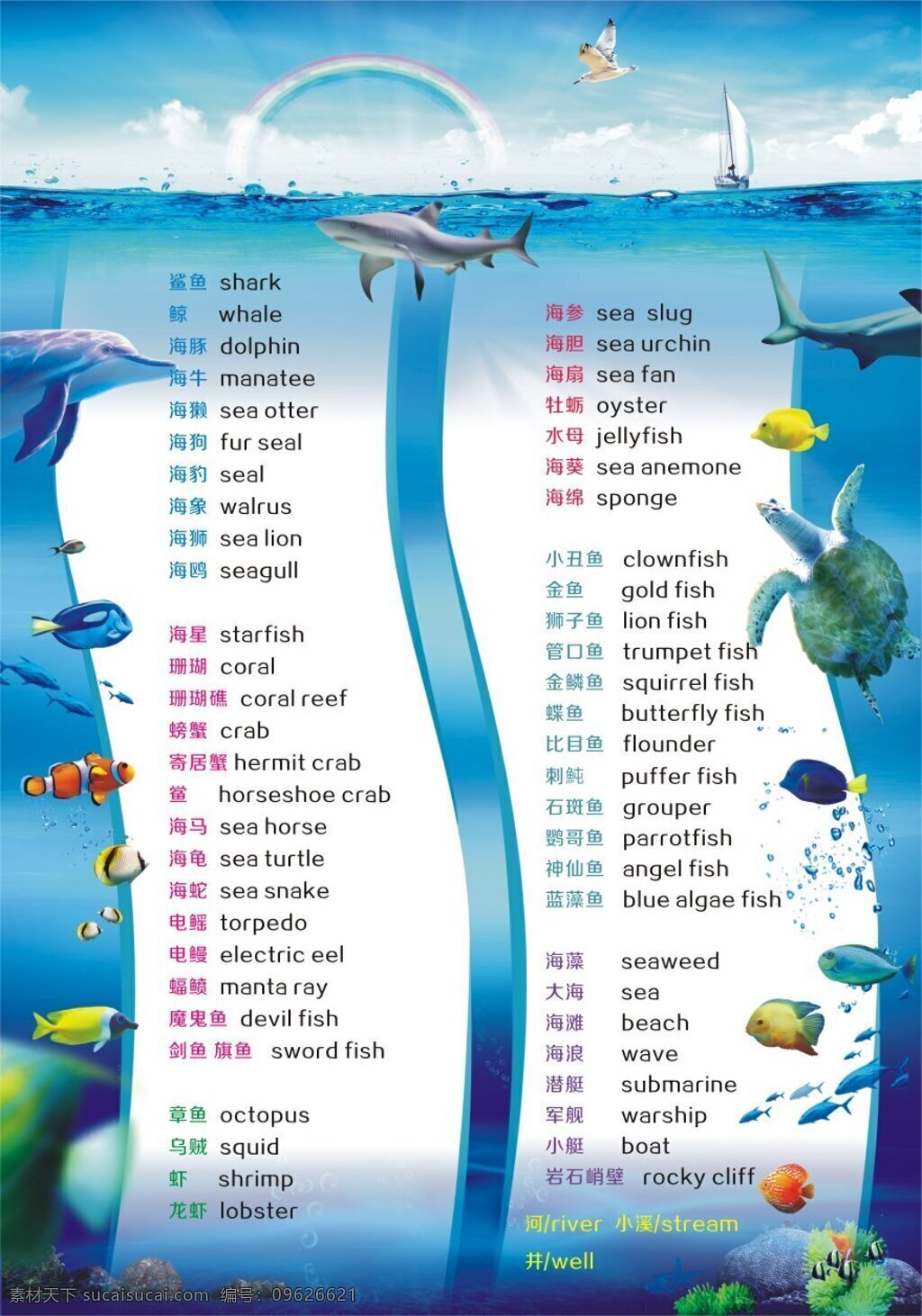 海洋 动物 英文 对照 动物名称 中文 儿童英语 挂图 白色