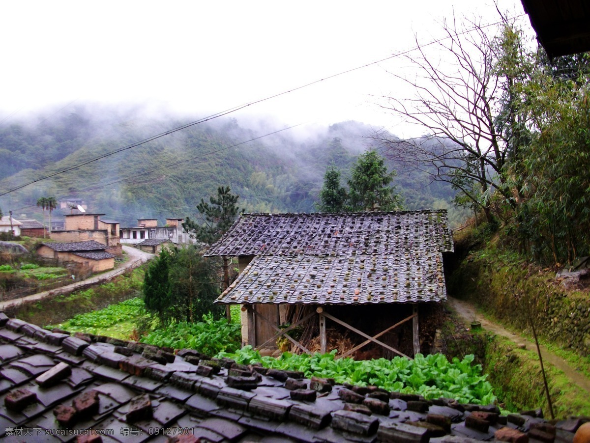 南方 农村 田园 生活 菜地 平房 田园风光 自然景观